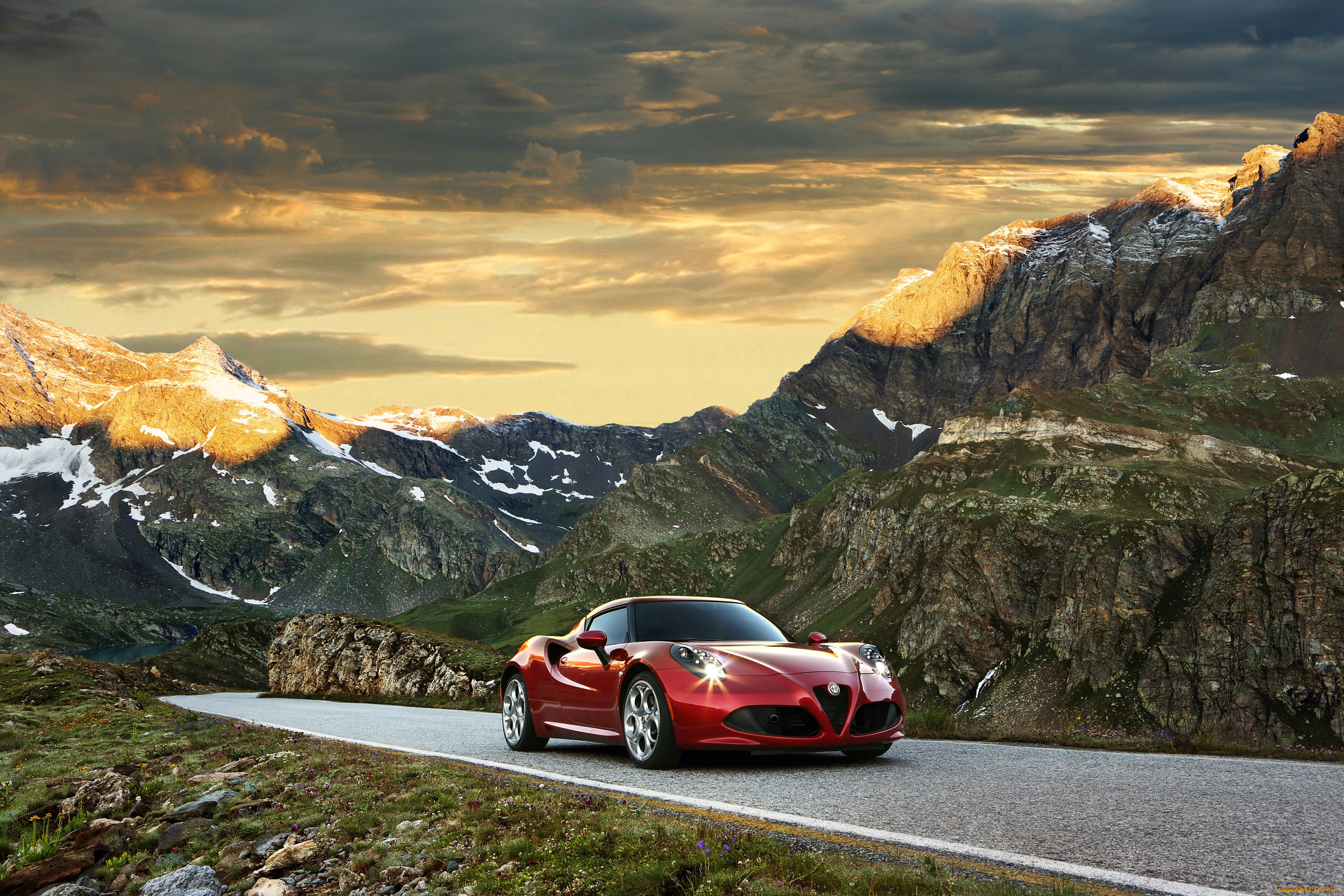 2014 alfa romeo 4c, , alfa romeo, , , , , alfa, romeo